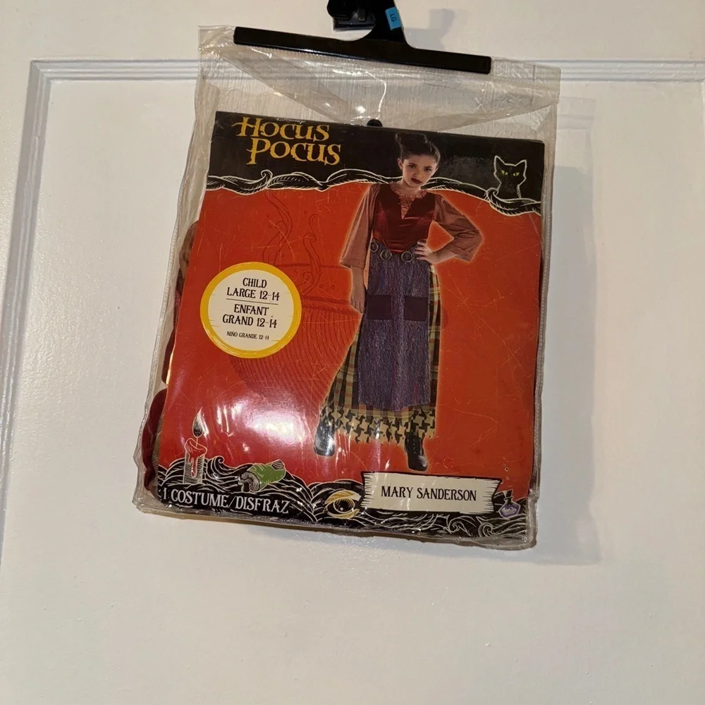 Mary Sanderson Hocus Pocus Kids Costume Large NWT